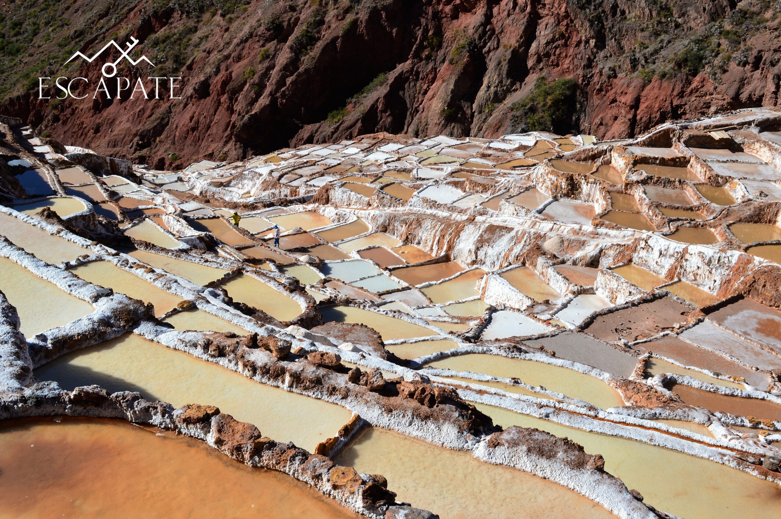 Maras Salt