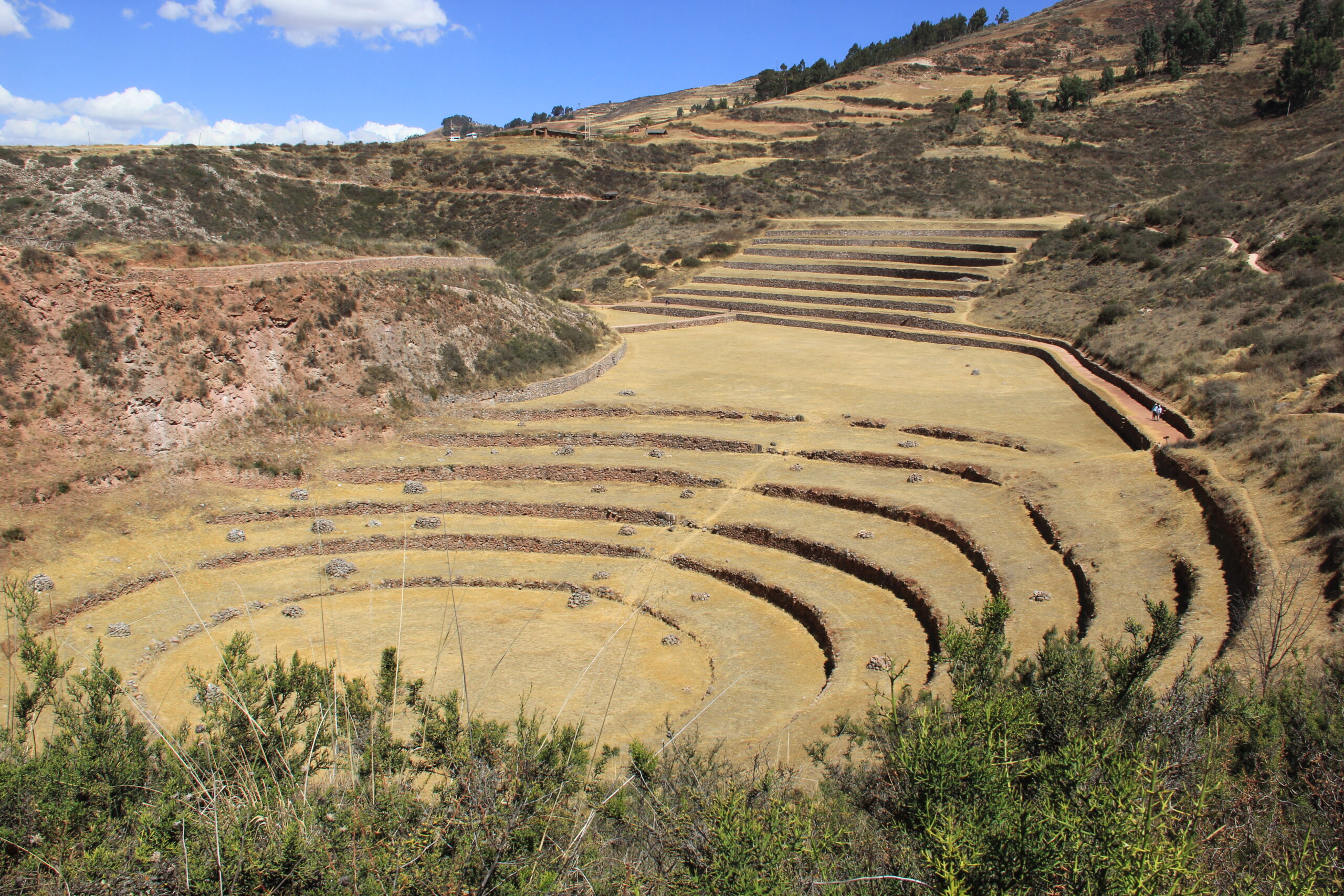 Moray siet