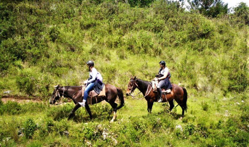 Paseo a caballo hasta el Templo de la Luna
