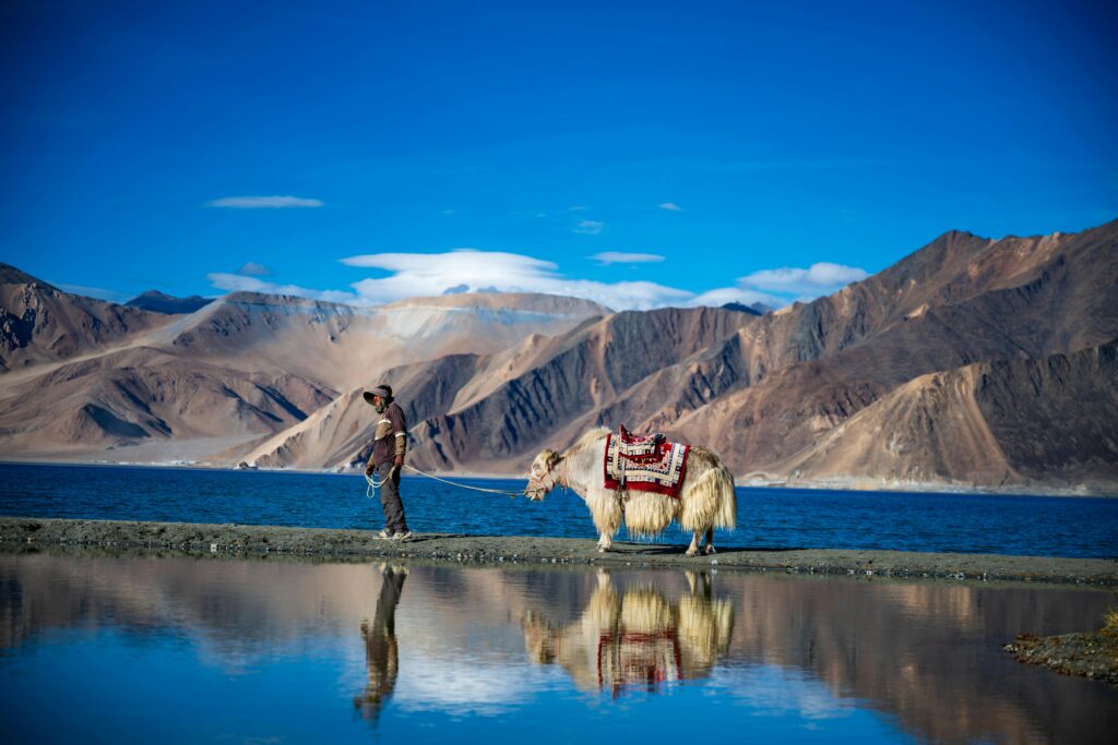 pexels-shashwat-basutkar-2154409035-33207999