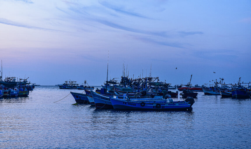 Paracas y las Islas Ballestas